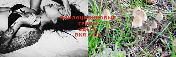 СК Баксан