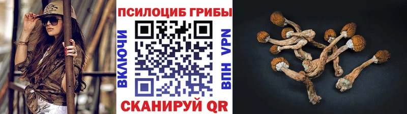цена наркотик  hydra ТОР  Галлюциногенные грибы Psilocybine cubensis  Нижние Серги 