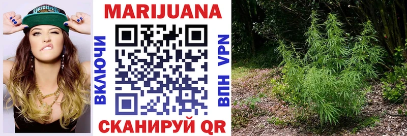 Конопля план  mega сайт  Нижние Серги 